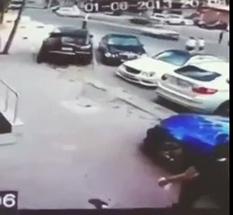 Psycho cat attacks woman and her dog