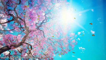 Gözəl mövzular - Möminlər səhv edərlərmi