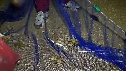 La  PECHE AUX CAPUCINS