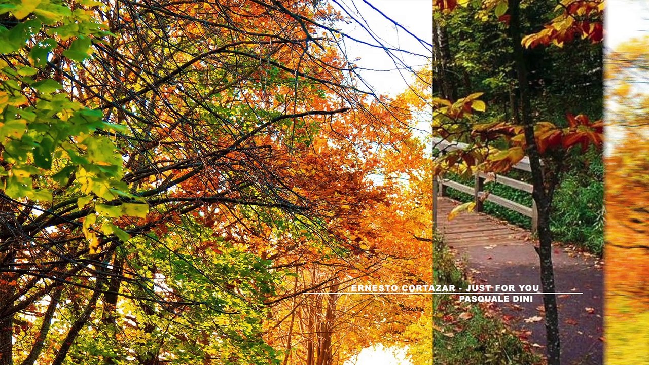 Ernesto Cortazar - Just For You -