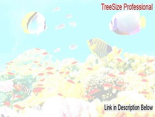 TreeSize Professional Key Gen - Instant Download (2015)