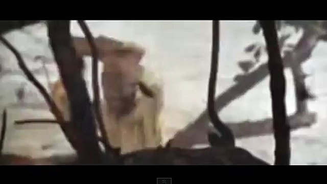 ぉ바카라강원랜드━ＴＷＴ３３．ＣｏＭ━바카라강원랜드