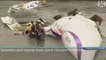 Taïwan: la vidéo choc du crash d'un avion dans une rivière. Dernier bilan: 22 morts, 21 disparus