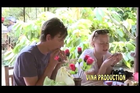 Phung cau hoang - Various Artists
