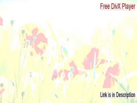 Free DivX Player Serial [Free of Risk Download]