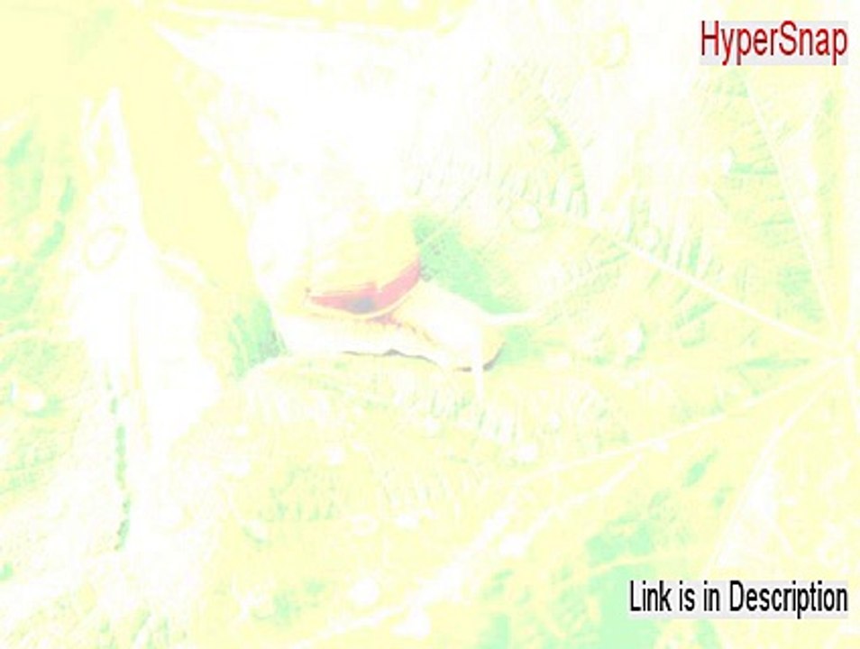 HyperSnap Key Gen (Download Here)