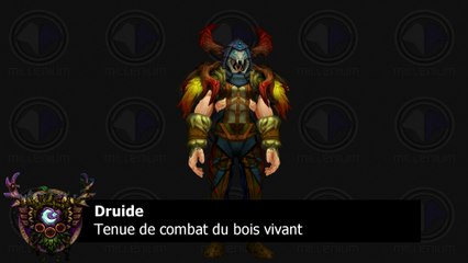 L'ensemble T17 normal du Druide - Warlords of Draenor
