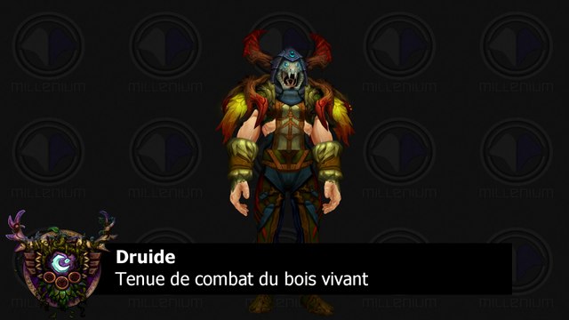 L'ensemble T17 normal du Druide - Warlords of Draenor