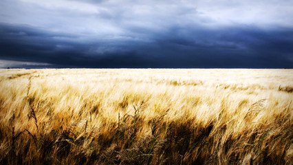 Free Dark Ambient Evil Weird Weed Type Beat || Dark Cypress