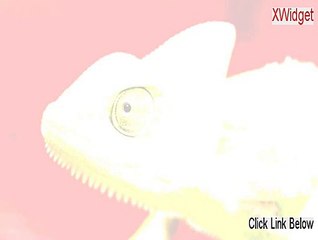 XWidget Keygen - Risk Free Download