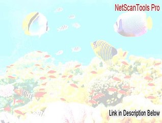 NetScanTools Pro Free Download (Instant Download 2015)