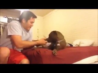 Dog meets new baby brother who was rescued from the streets
