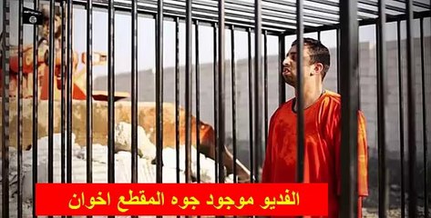 مؤلمة من حول الطيار الاردني معاذ