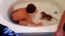 Bath Time~~~R2D2 Budgie! - Hilarious Videos _ Facebook