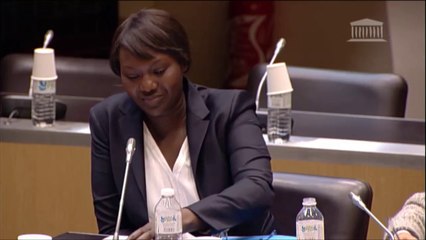 Seybah Dagoma - Mission sur l'avenir des institutions - 30 janvier 2015