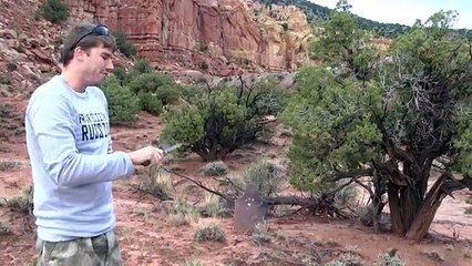 M4 Zombie Hunting & Ballistic Knife