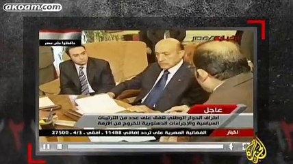 سلسلة يوميات الثورة المصرية اليوم الخامس عشر - 07 - فبراير - 2011