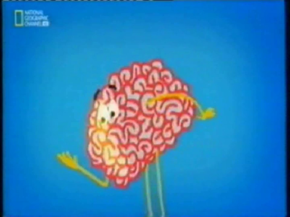 Cerebro: Somatopercepcion cruzada