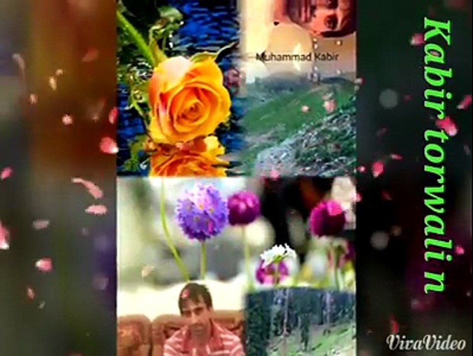 Kabir torwali