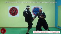 Curso de Artes Marciales Online - Jujutsu