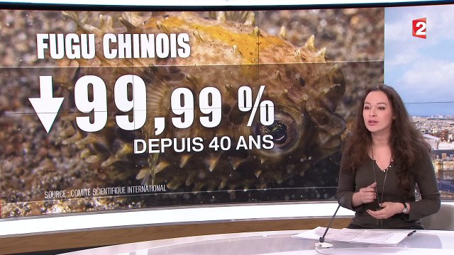 Ces espèces de poissons menacées