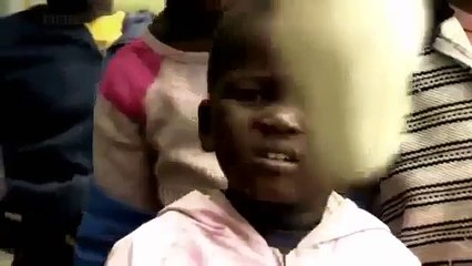 Black Mamba Snakes Africa's Most Dangerous Snake BBC Nature Documentary