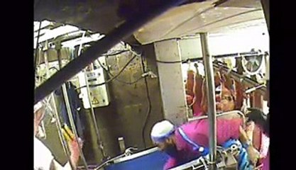 footage exposes shocking slaughterhouse cruelty - Video Dailymotion