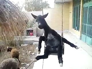 Broken heart, Im so lonely by arash