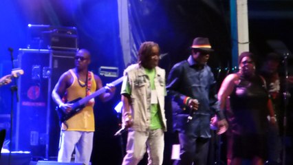 wailing souls (live) rototom 2014