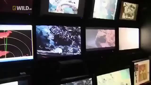 Deep Sea Creatures Ocean Animals Documentary