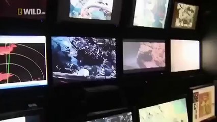 Deep Sea Creatures Ocean Animals Documentary