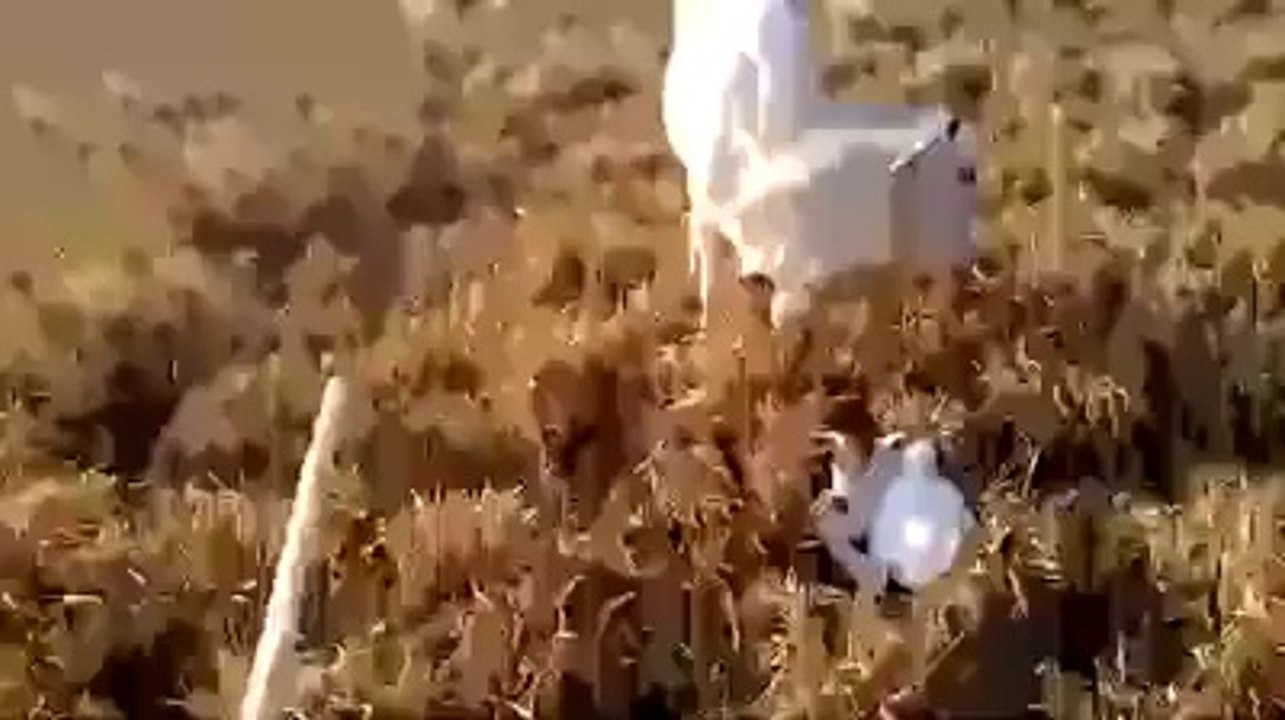 Köpek en iyi koruyucu derler  Kim demiş İzlede gör bakalım