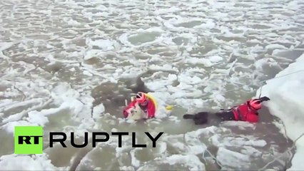 Así rescataron a un perro que se ahogaba en aguas heladas