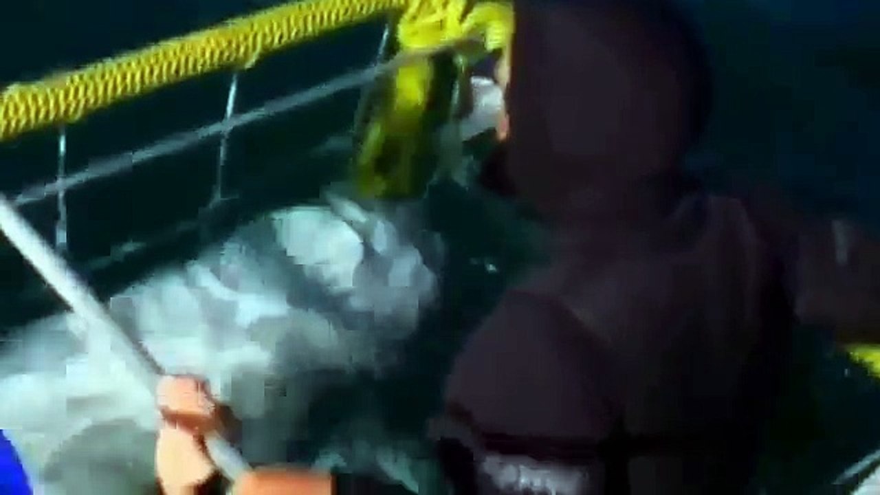 Great White Shark Attacks on Humans Caught On Tape Nature Documentary