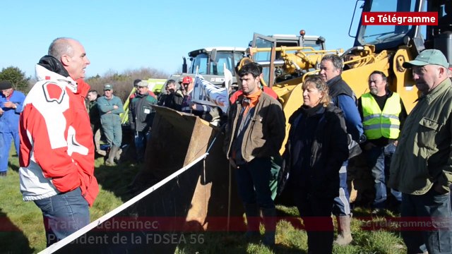 Presqu'ile de Rhuys. Les agriculteurs veulent chasser les sangliers
