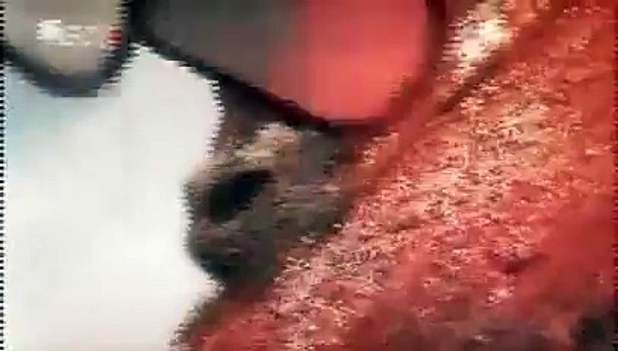 Trailer - Operation Flashpoint: Red River