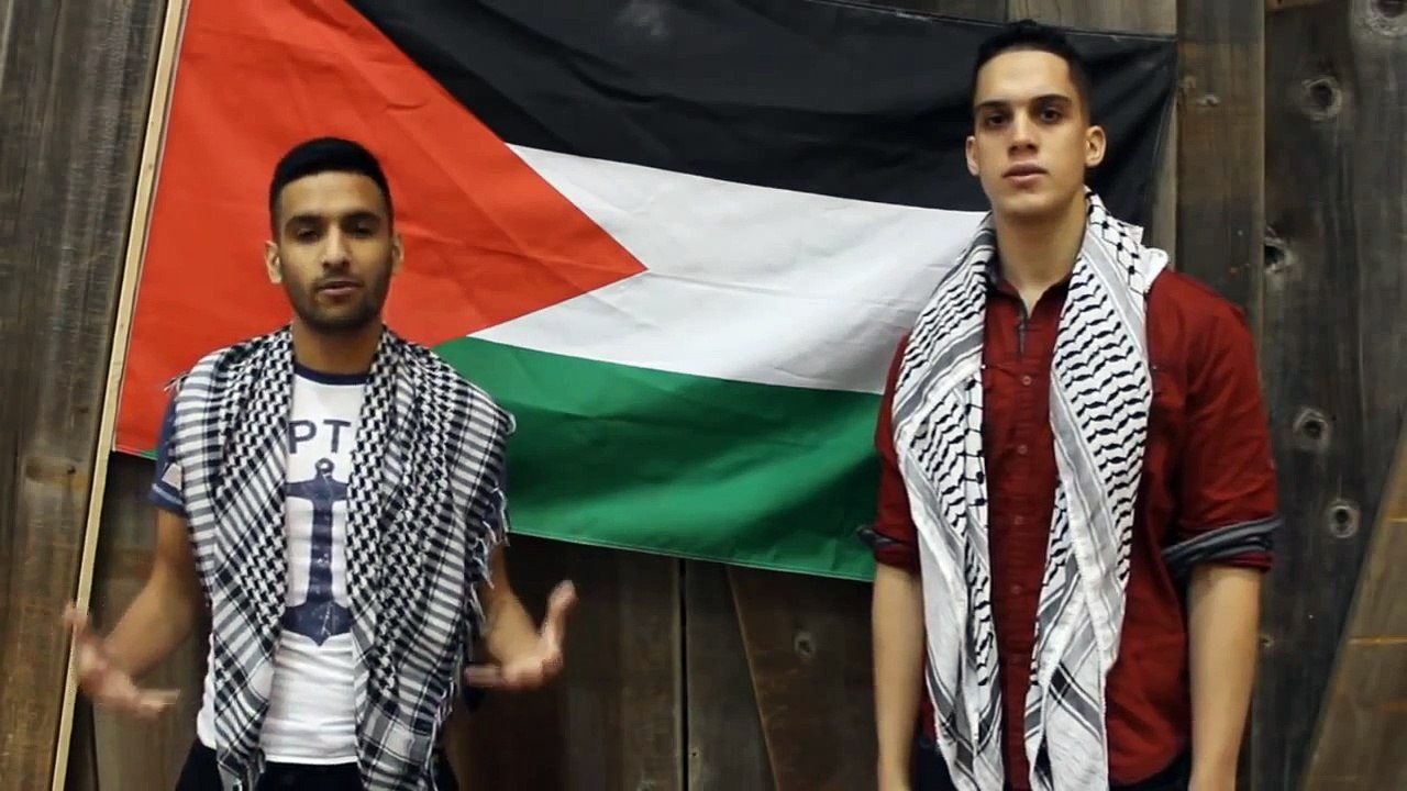 ZaidAliT - HONK FOR PALESTINE!