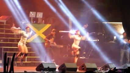 intro sean paul (live) rototom 2014
