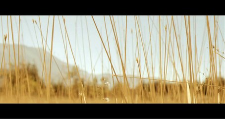 Steven Wilson - Perfect Life