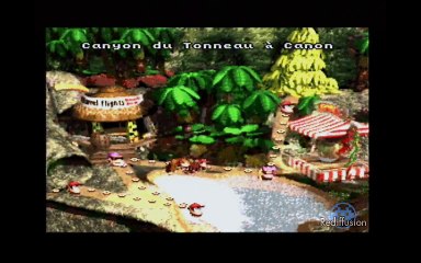 Test vidéo rétro - Donkey Kong Country
