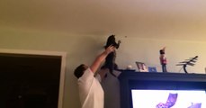 Cat and Owner Team Up to Capture Insect