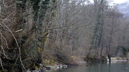 Martin pêcheur sur le canal de Savières en hiver (1)