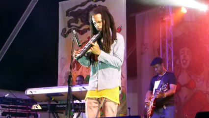 addis pablo (live) rototom 2014