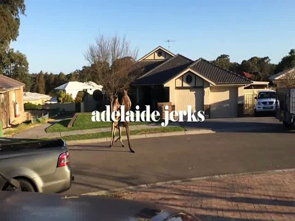 Skippy 3 - Adelaide Jerks