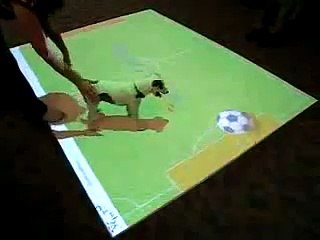 Funny Video Clips _ Dog Playing Football