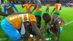 Goal Toure Y. - D.R. Congo 0 - 1 Ivory Coast -  Africa Cup of Nations - Play Offs - 04/02/2015