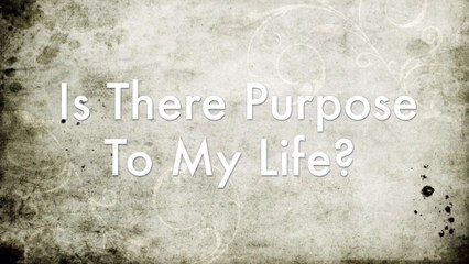 What's The Purpose of Life