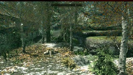 Extrait / Gameplay - Skyrim : des mods qui font rêver par les employés de Bethesda !