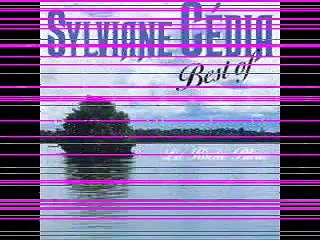 Sylviane Cédia - Pa trop chamboulé