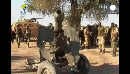 Tschad und Kamerun greifen Boko Haram in Nigeria an